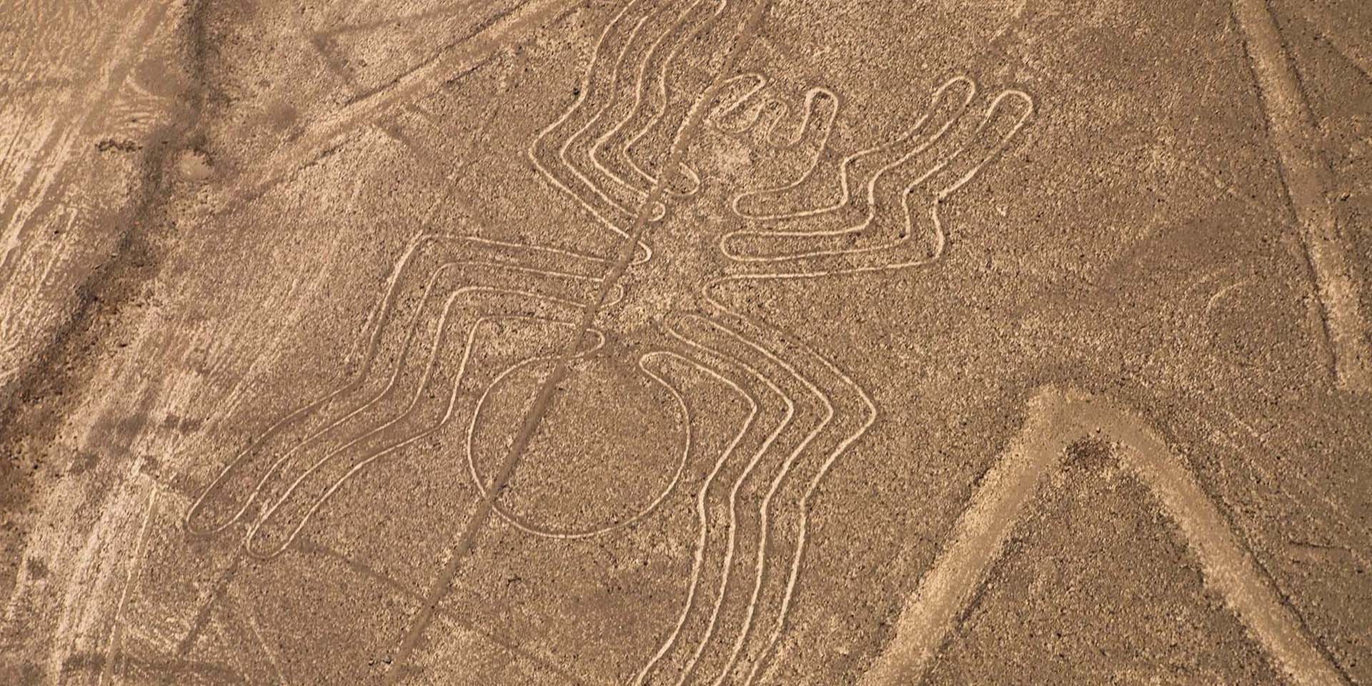 nazca-2